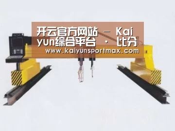 产品名称十九