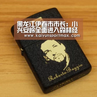 黑龙江伊春市市长:小兴安岭全面进入森林经营时代:开云比分(图3) 开云比分