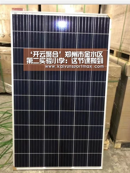 ‘开云聚合’郑州市金水区第二实验小学：这节课搬到了甘蔗地里